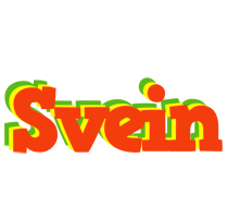 Svein bbq logo