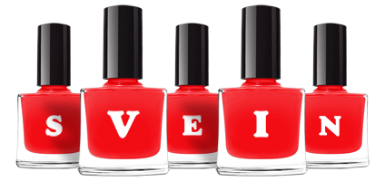 Svein fashion logo