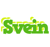 Svein picnic logo