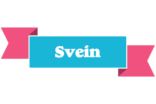 Svein today logo