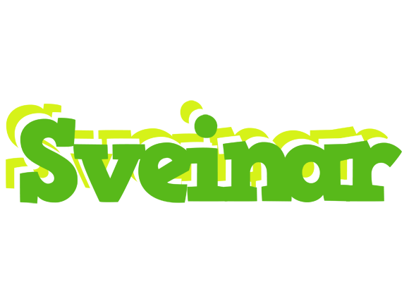 Sveinar picnic logo