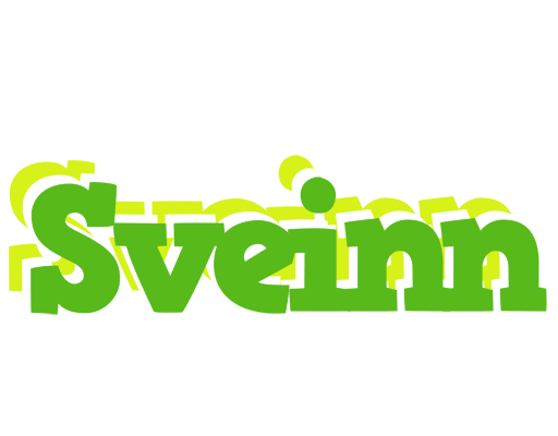 Sveinn picnic logo