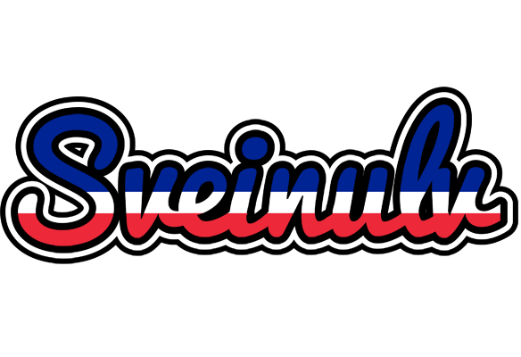 Sveinulv france logo