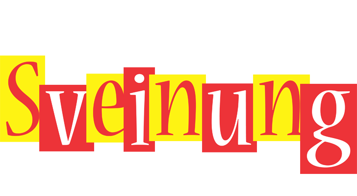 Sveinung errors logo