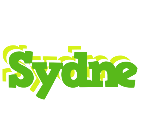 Sydne picnic logo