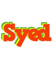 Syed bbq logo