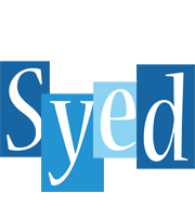 Syed winter logo
