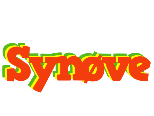 Synøve bbq logo