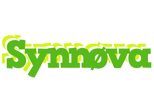 Synnøva picnic logo