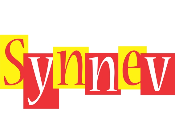 Synnev errors logo