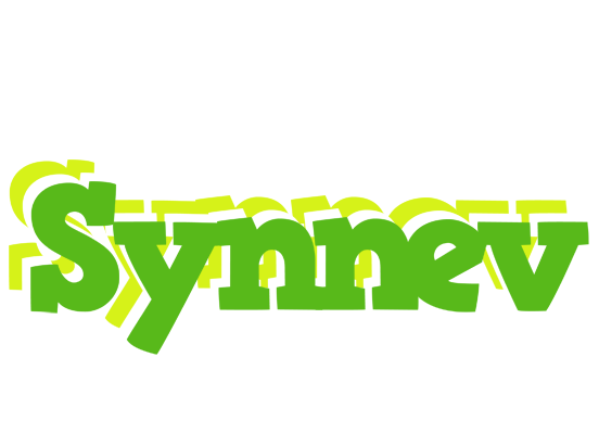 Synnev picnic logo
