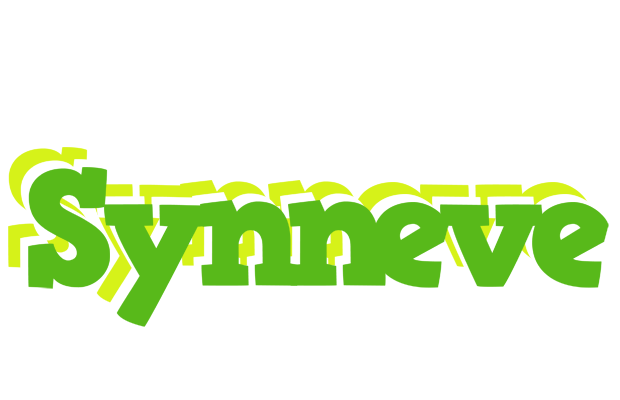 Synneve picnic logo