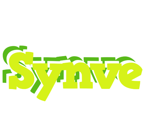 Synve citrus logo