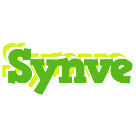 Synve picnic logo