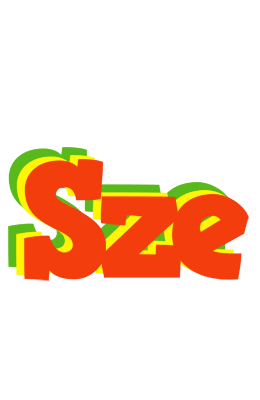 Sze bbq logo