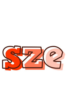 Sze paint logo