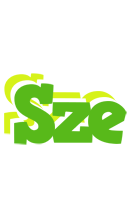 Sze picnic logo