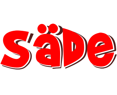 Säde basket logo