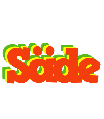 Säde bbq logo