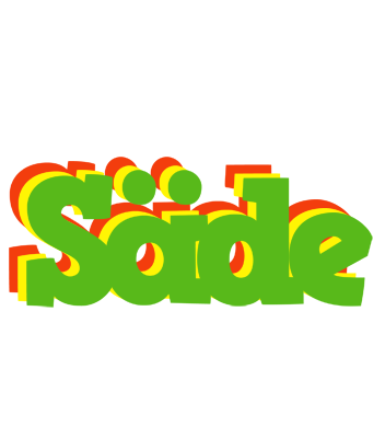 Säde crocodile logo