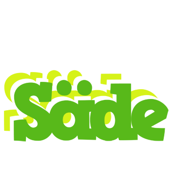 Säde picnic logo