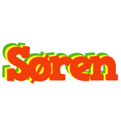 Søren bbq logo
