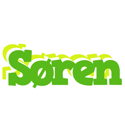 Søren picnic logo