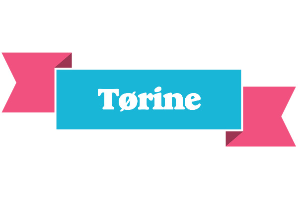 Tørine today logo
