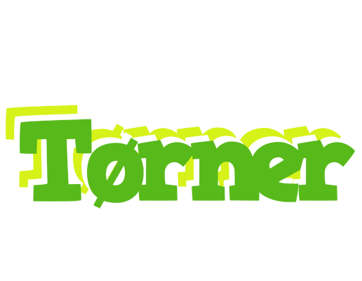 Tørner picnic logo
