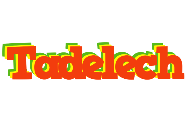 Tadelech bbq logo