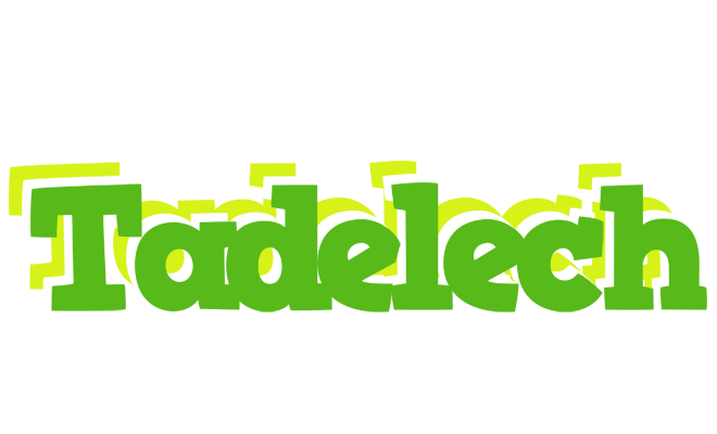 Tadelech picnic logo