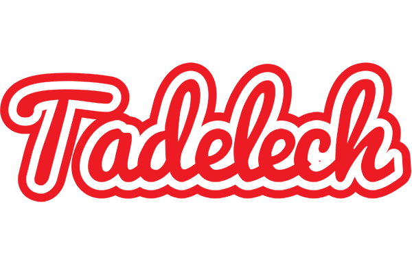 Tadelech sunshine logo