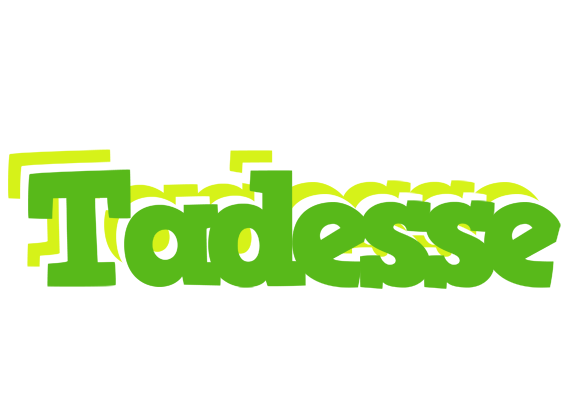 Tadesse picnic logo