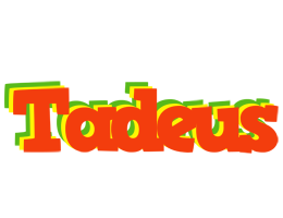 Tadeus bbq logo