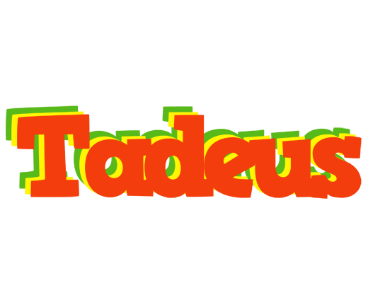 Tadeus bbq logo