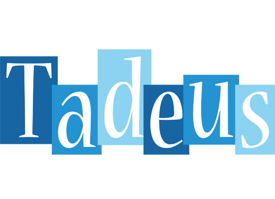 Tadeus winter logo