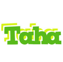 Taha picnic logo