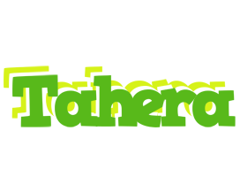 Tahera picnic logo