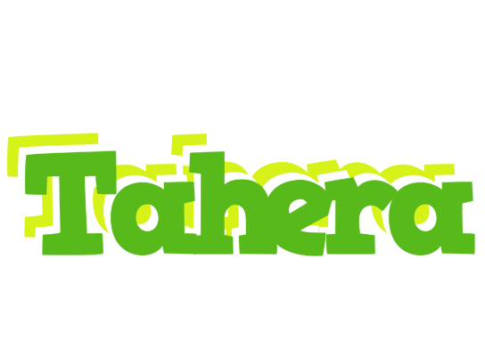 Tahera picnic logo