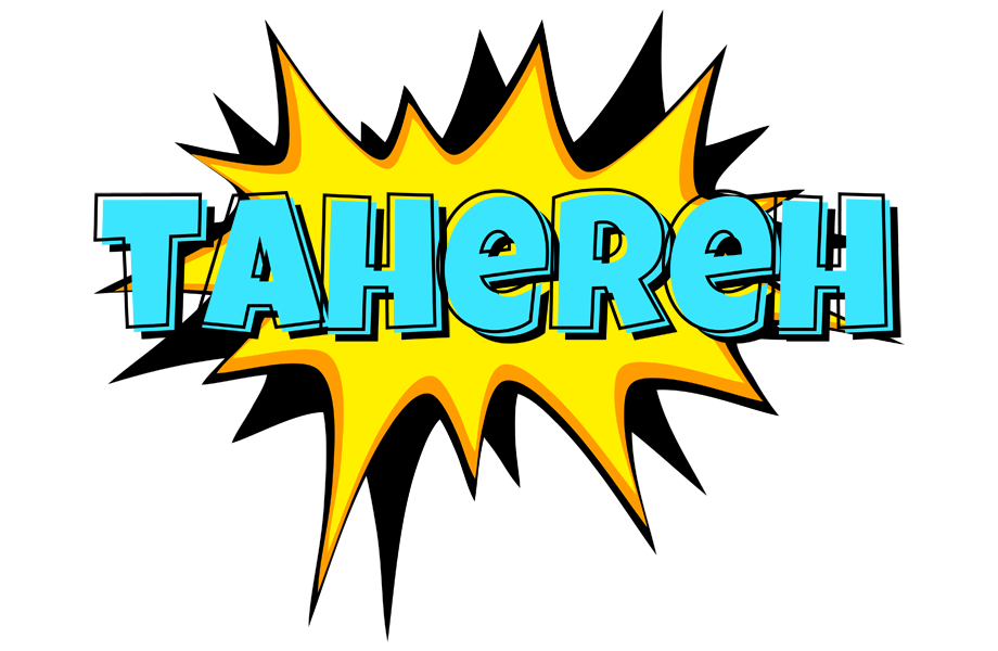 Tahereh indycar logo