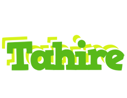 Tahire picnic logo
