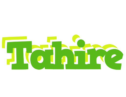 Tahire picnic logo