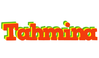 Tahmina bbq logo