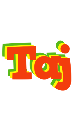 Taj bbq logo