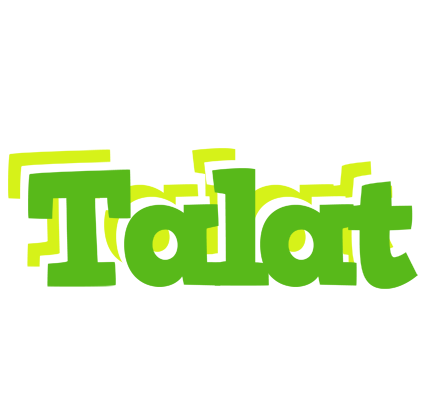 Talat picnic logo
