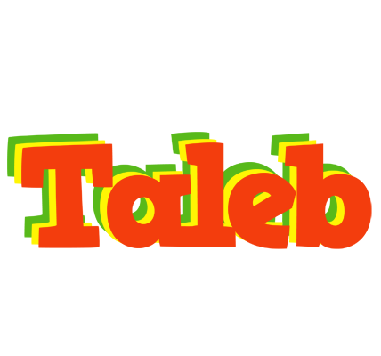 Taleb bbq logo