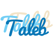 Taleb breeze logo