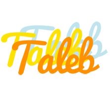 Taleb energy logo