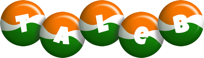 Taleb india logo