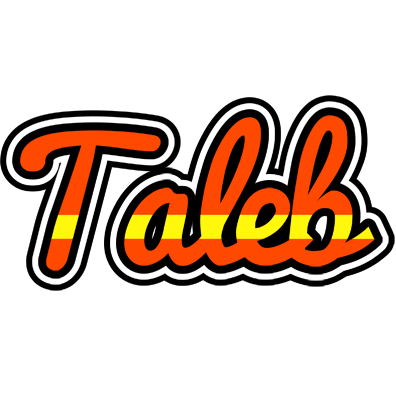 Taleb madrid logo